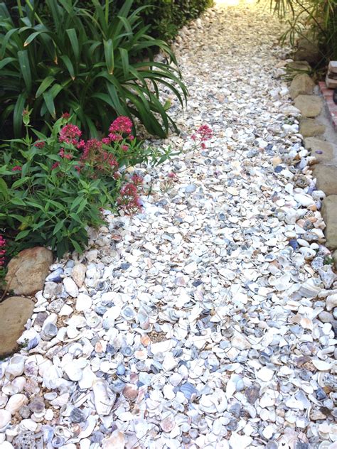 We sell these magical and beautiful shells in our shop with a nice price. . Crushed shells for landscaping